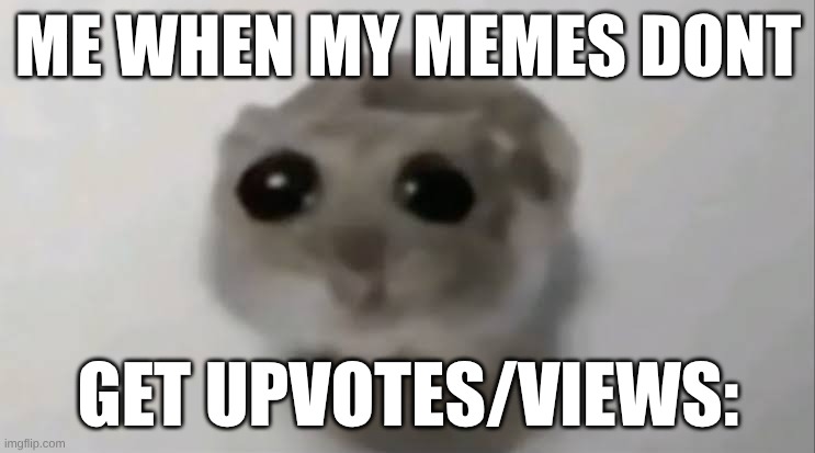 (Not a upvote beggar, I'm just stressed right now with family & wanting to feel a bit better, that's all. I hope yall understand | Me when my memes dont; get upvotes/views: | image tagged in sad hamster | made w/ Imgflip meme maker
