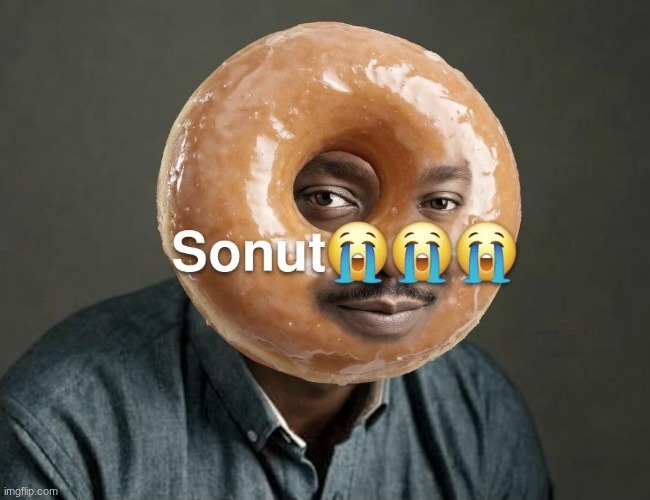 Sonut | image tagged in sonut | made w/ Imgflip meme maker