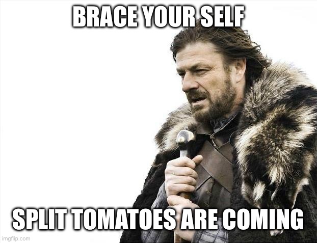 Heavy rain | Brace your self; Split tomatoes are coming | image tagged in memes,brace yourselves x is coming,gardening,weather | made w/ Imgflip meme maker