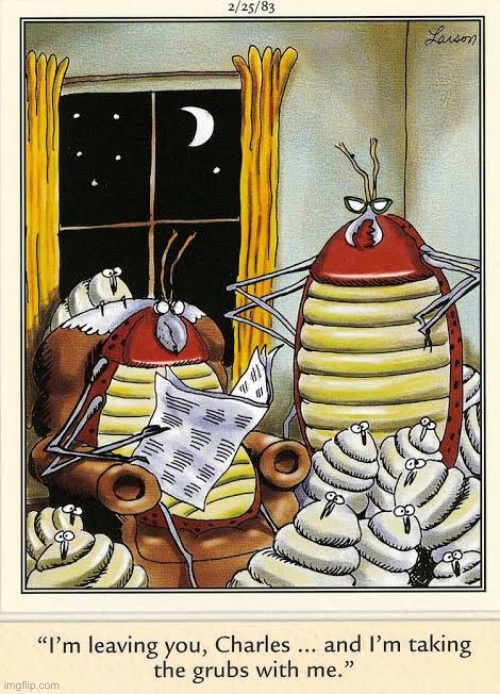 It was inevitable… | image tagged in the far side,comics,insects,leaving,grubs,announcement | made w/ Imgflip meme maker
