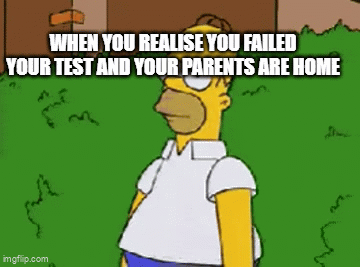 DA FAILED MATH TEST - Imgflip