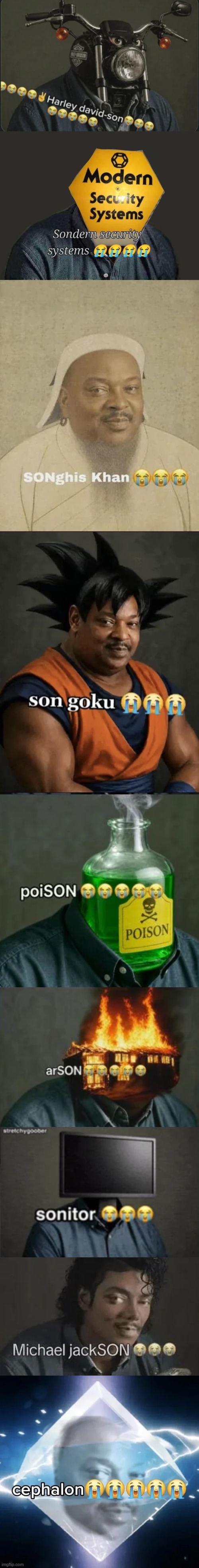 i'm too lazy to add the rest as seperate posts. | image tagged in harley david-son,sondern security systems,songhis khan,son goku,poison,arson | made w/ Imgflip meme maker