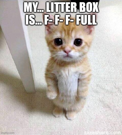 ? | my... litter box is... f- f- f- full | image tagged in memes,cute cat | made w/ Imgflip meme maker