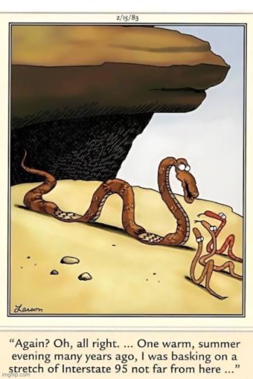 Snake survival tale… | image tagged in the far side,comics,snakes,storytelling,run over,tire tracks | made w/ Imgflip meme maker