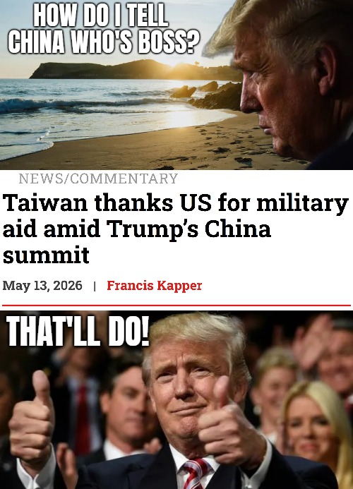 That'll do! | image tagged in donald trump,china,politics | made w/ Imgflip meme maker
