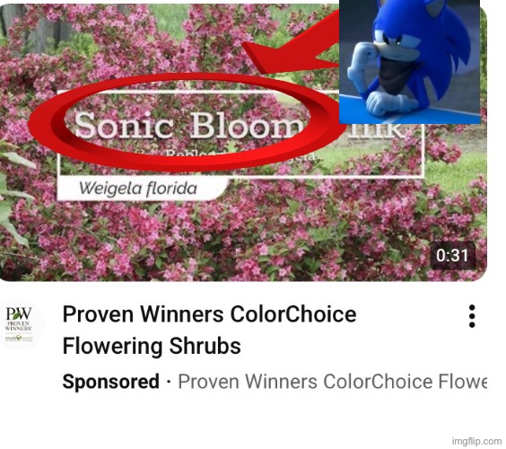 Sonic | image tagged in img_0021 jpeg | made w/ Imgflip meme maker