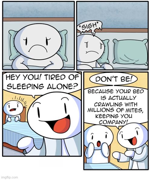 The Odd 1s Out | image tagged in comics,the odd 1s out,sleeping alone,tired,not alone,bed mites | made w/ Imgflip meme maker