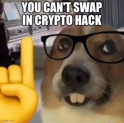 nerd dog | You can't swap in Crypto Hack | image tagged in nerd dog | made w/ Imgflip meme maker