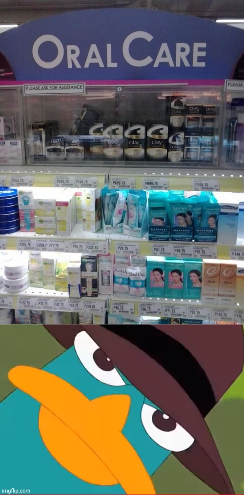 "Oral Care" | image tagged in perry looks at you,oral,care,store,you had one job,memes | made w/ Imgflip meme maker