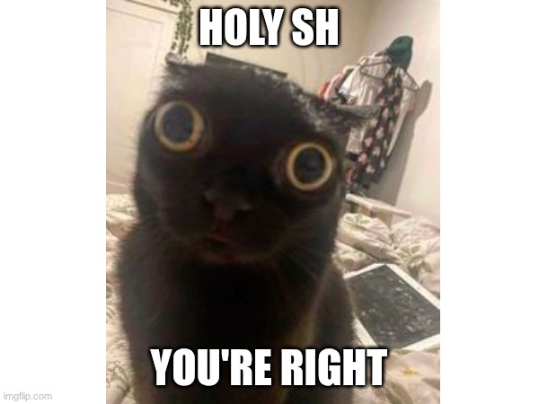 Holy sh you're right | made w/ Imgflip meme maker