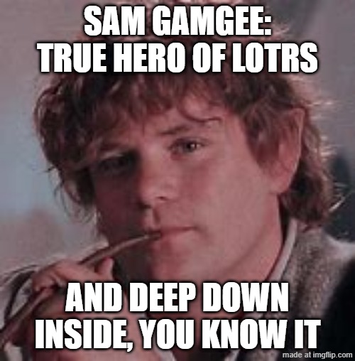 No No Frodo | Sam Gamgee: true hero of Lotrs; And deep down inside, you know it | image tagged in change my mind | made w/ Imgflip meme maker