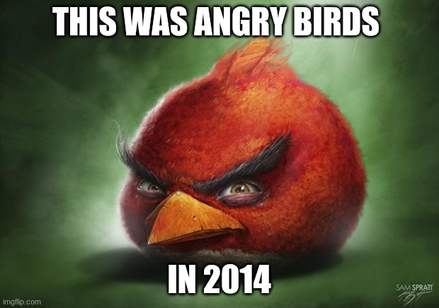 Realistic Angry Birds Red | this was angry birds; in 2014 | image tagged in realistic angry birds red | made w/ Imgflip meme maker