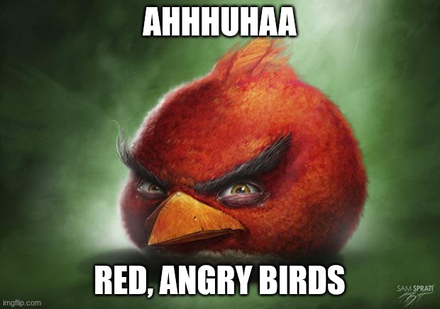 Realistic Angry Birds Red | AHHHUHAA; RED, ANGRY BIRDS | image tagged in realistic angry birds red | made w/ Imgflip meme maker