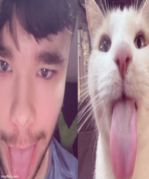 bleh | made w/ Imgflip meme maker