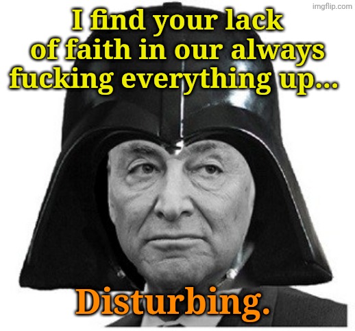 Darth Schumer | I find your lack of faith in our always fucking everything up... Disturbing. | image tagged in darth schumer | made w/ Imgflip meme maker