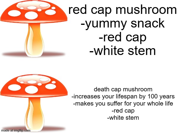 mushroom hunting guides in a nutshell | red cap mushroom
-yummy snack
-red cap
-white stem; death cap mushroom
-increases your lifespan by 100 years
-makes you suffer for your whole life
-red cap
-white stem | made w/ Imgflip meme maker