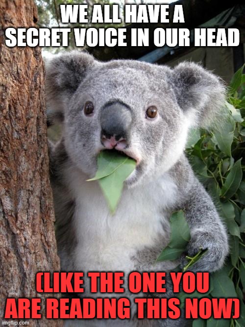 Fun facts | We all have a secret voice in our head; (like the one you are reading this now) | image tagged in memes,surprised koala | made w/ Imgflip meme maker