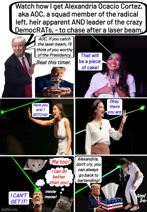Trump trolls AOC with a laser beam | Watch how I get Alexandria Ocacio Cortez,
aka AOC, a squad member of the radical 
left, heir apparent AND leader of the crazy
DemocRATs, - to chase after a laser beam. AOC, if you catch
the laser beam, I'll
think of you worthy
of the Presidency. That will
be a piece
 of cake! Beat this timer. Okay, there you are; Here you
are! I
GOTCHA! Alexandria, 
don't cry, you
can always 
go back to
bartending! Me too! I can do
better 
than you! meow
meow! Angel 
Soto; i can't 
get it! | image tagged in trump gets aoc to chase a laser beam,president trump,presidential election,aoc,bartender,radical | made w/ Imgflip meme maker
