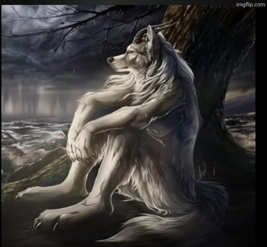 sad alpha wolf | image tagged in sad alpha wolf | made w/ Imgflip meme maker