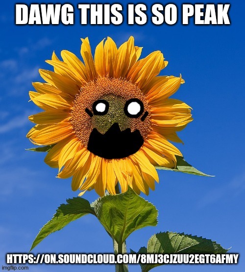 dawg this is so peak; https://on.soundcloud.com/8Mj3cJZuU2EGT6AFmy | made w/ Imgflip meme maker