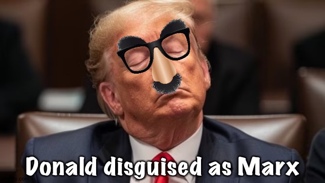 He thinks nobody will notice | Donald disguised as Marx | image tagged in trump sleep in court,groucho glasses | made w/ Imgflip meme maker