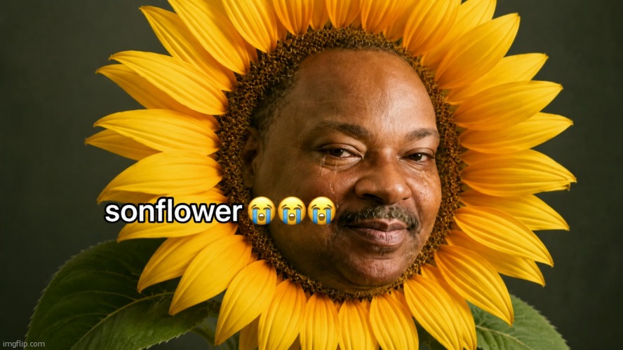 sonflower | image tagged in sonflower | made w/ Imgflip meme maker