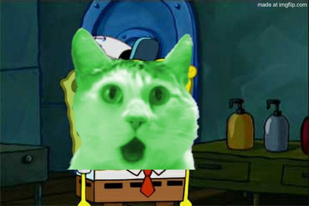 RayCat Bad Photoshop Attention Template | image tagged in memes,don't you squidward | made w/ Imgflip meme maker