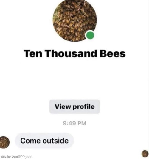 How about no... | image tagged in shitpost,bees | made w/ Imgflip meme maker