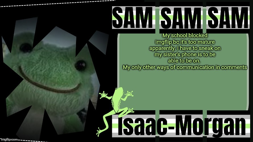 sam's fav frog temp | My school blocked imgflip bc it's too mature apparently. I have to sneak on my sister's phone is to be able to be on. 
My only other ways of communication in comments | image tagged in sam's fav frog temp | made w/ Imgflip meme maker
