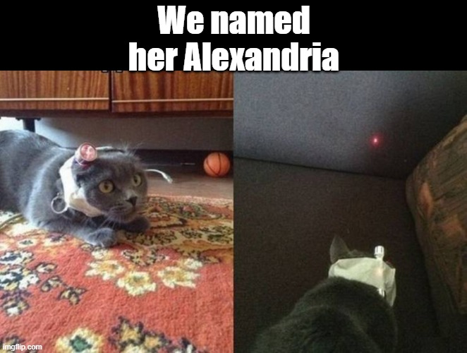 We named her Alexandria | made w/ Imgflip meme maker
