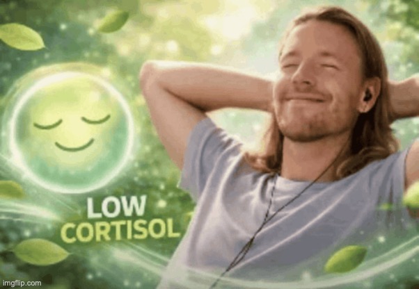 image tagged in low cortisol | made w/ Imgflip meme maker