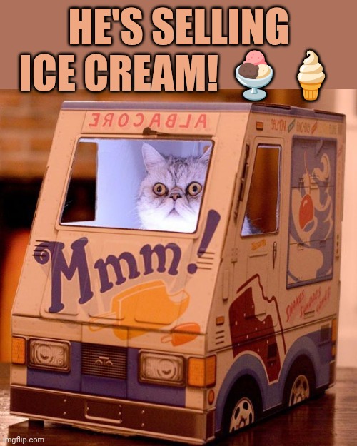 Doom Ice Cream Cat | He's selling ice cream! 🍨🍦 | image tagged in doom ice cream cat | made w/ Imgflip meme maker