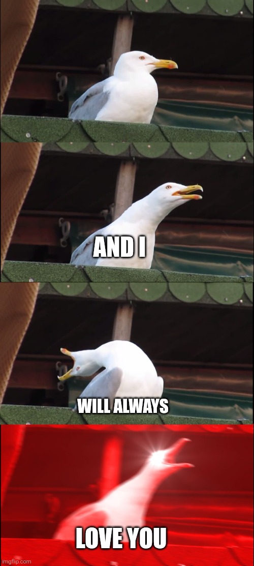 Seagull sings I Will Always Love You | And I; will always; love you | image tagged in memes,inhaling seagull | made w/ Imgflip meme maker