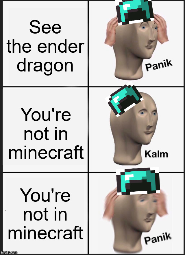 Yeah im cooked, baked, fried, deep-fried, grilled, and done for. | See the ender dragon; You're not in minecraft; You're not in minecraft | image tagged in memes,panik kalm panik | made w/ Imgflip meme maker