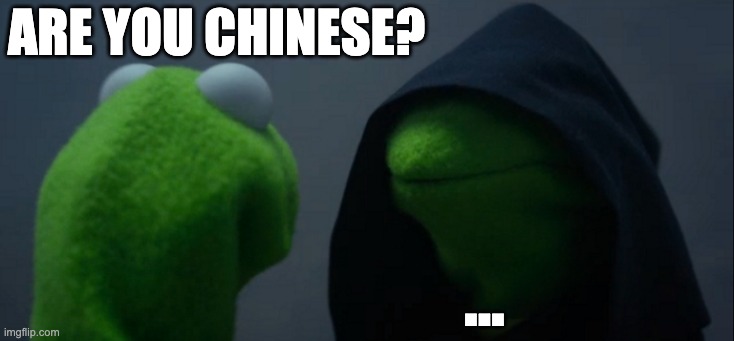 Evil Kermit | Are you Chinese? ... | image tagged in memes,evil kermit | made w/ Imgflip meme maker