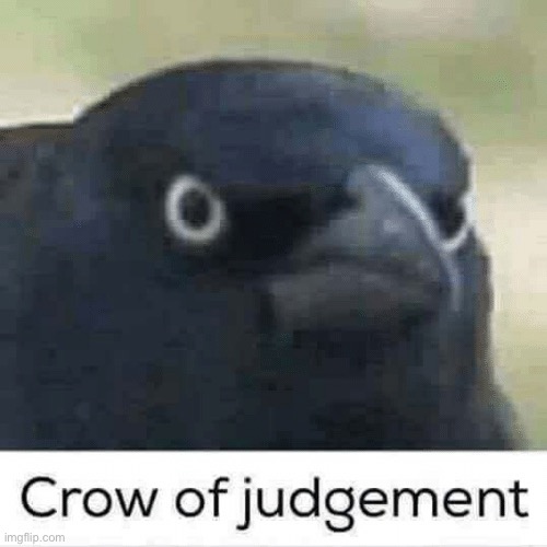 How my friend be looking at my new shirt | image tagged in crow of judgement | made w/ Imgflip meme maker