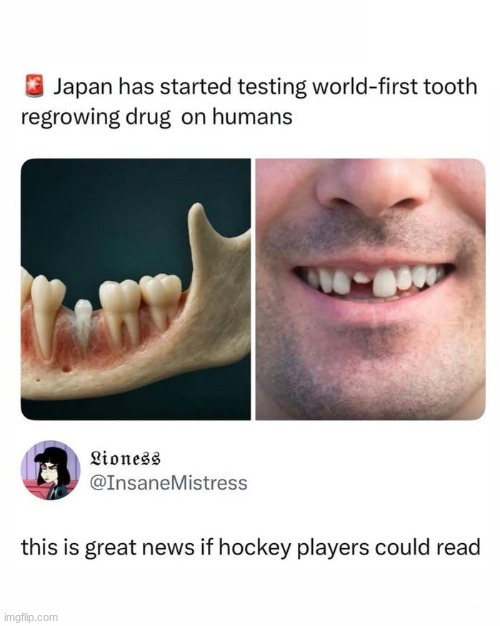 If only... | image tagged in rareinsults,insult,funny,hockey,reading,repost | made w/ Imgflip meme maker
