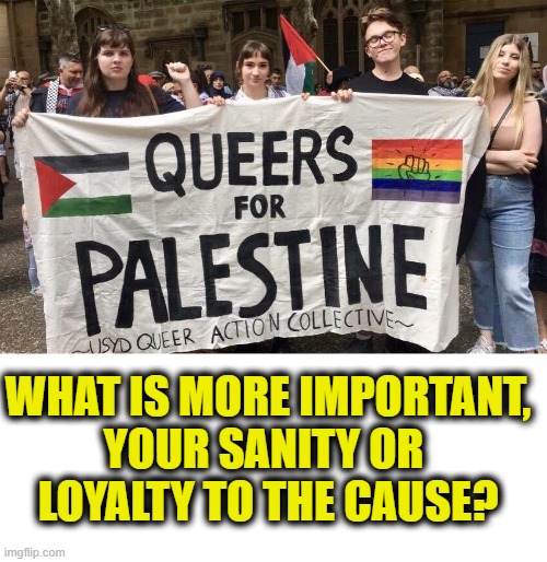 More Leftist Logic | What is more important,
your sanity or 
loyalty to the cause? | image tagged in insanity | made w/ Imgflip meme maker
