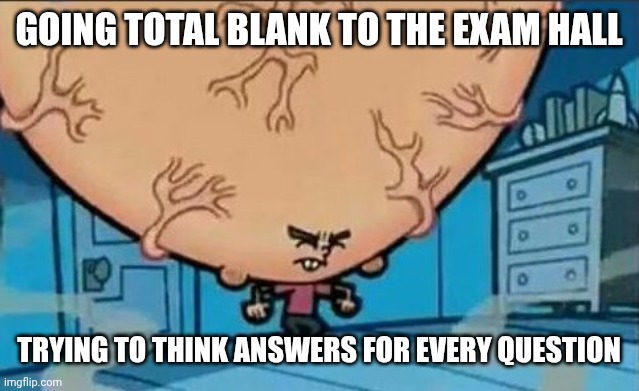 Big Brain timmy | Going total blank to the exam hall; Trying to think answers for every question | image tagged in big brain timmy | made w/ Imgflip meme maker