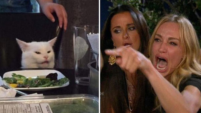 Woman Yelling at Cat Reversed Blank Meme Template