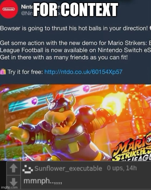 bro what | for context | image tagged in nintendo | made w/ Imgflip meme maker
