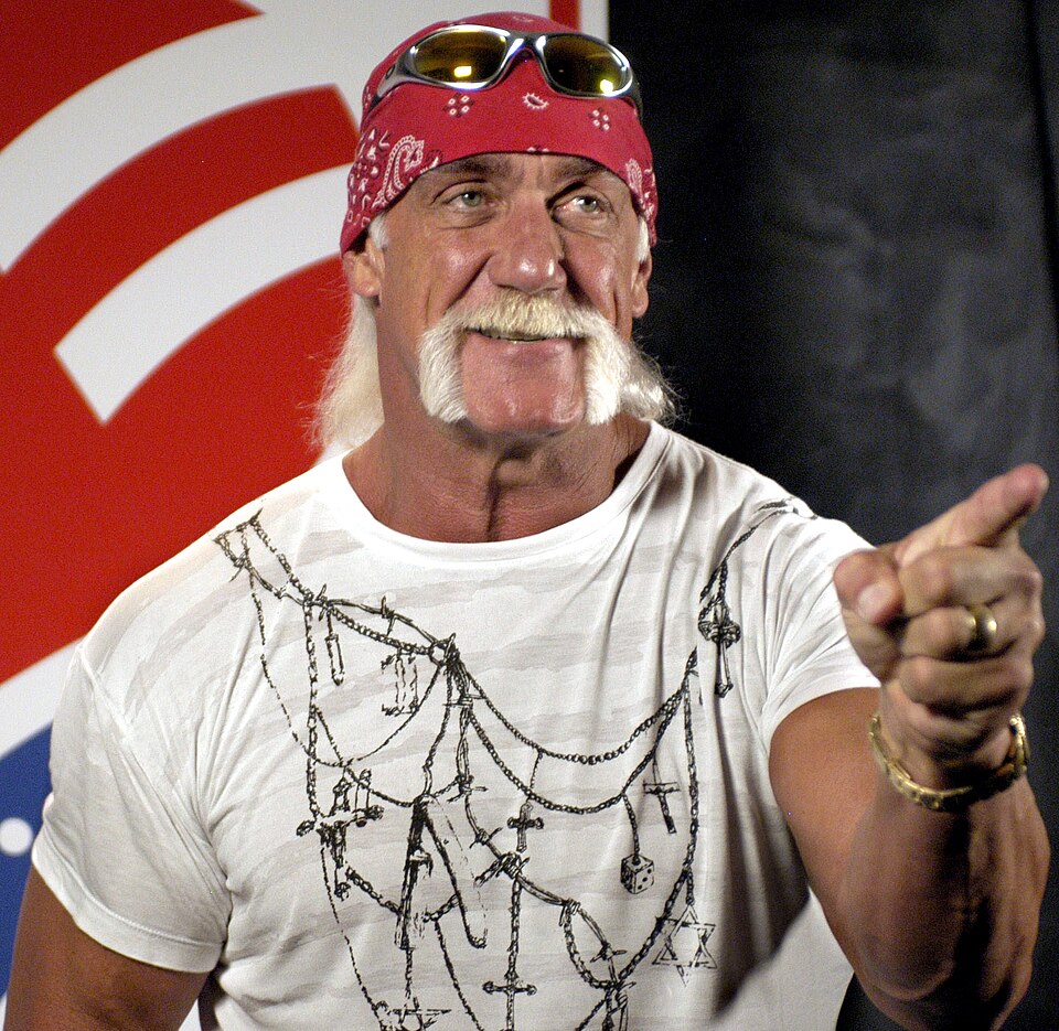 World Wrestling Entertainment Blank Meme Template