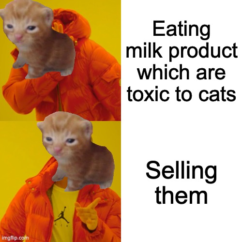 Drake Hotline Bling Meme | Eating milk product which are toxic to cats Selling them | image tagged in memes,drake hotline bling | made w/ Imgflip meme maker