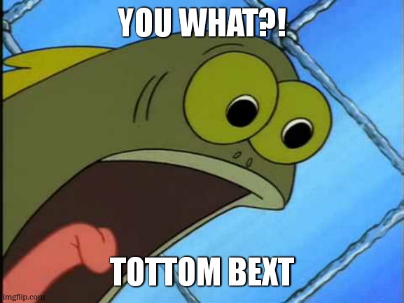 You what?! | YOU WHAT?! tottom bext | image tagged in you what | made w/ Imgflip meme maker