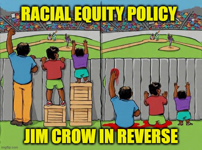 More Leftist Logic | Racial equity policy; Jim Crow in reverse | made w/ Imgflip meme maker