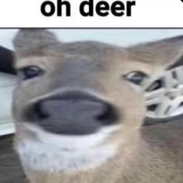 High Quality Oh Deer Blank Meme Template