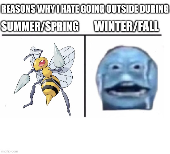 Image title | reasons why i hate going outside during; summer/spring; winter/fall | image tagged in comparison table,summer,winter,bugs,cold | made w/ Imgflip meme maker