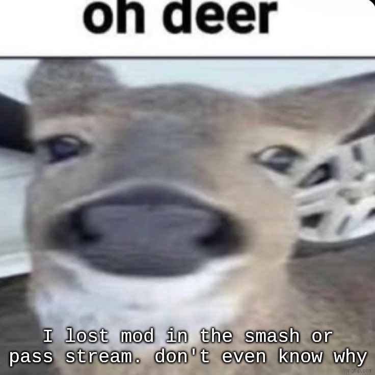 Oh Deer | I lost mod in the smash or pass stream. don't even know why | image tagged in oh deer | made w/ Imgflip meme maker