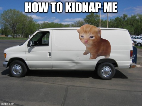 how to kidnap me | how to kidnap me | image tagged in how to kidnap me | made w/ Imgflip meme maker