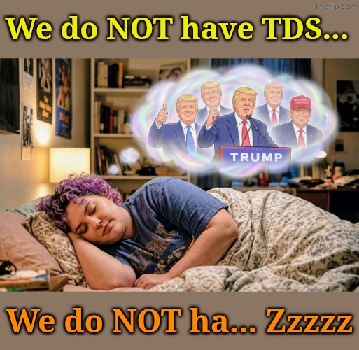 Suuuuuure! Whatever you say. | We do NOT have TDS... We do NOT ha... Zzzzz | made w/ Imgflip meme maker